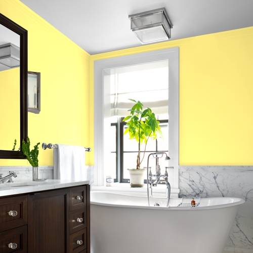 トランプ orange orange Citrus Punch